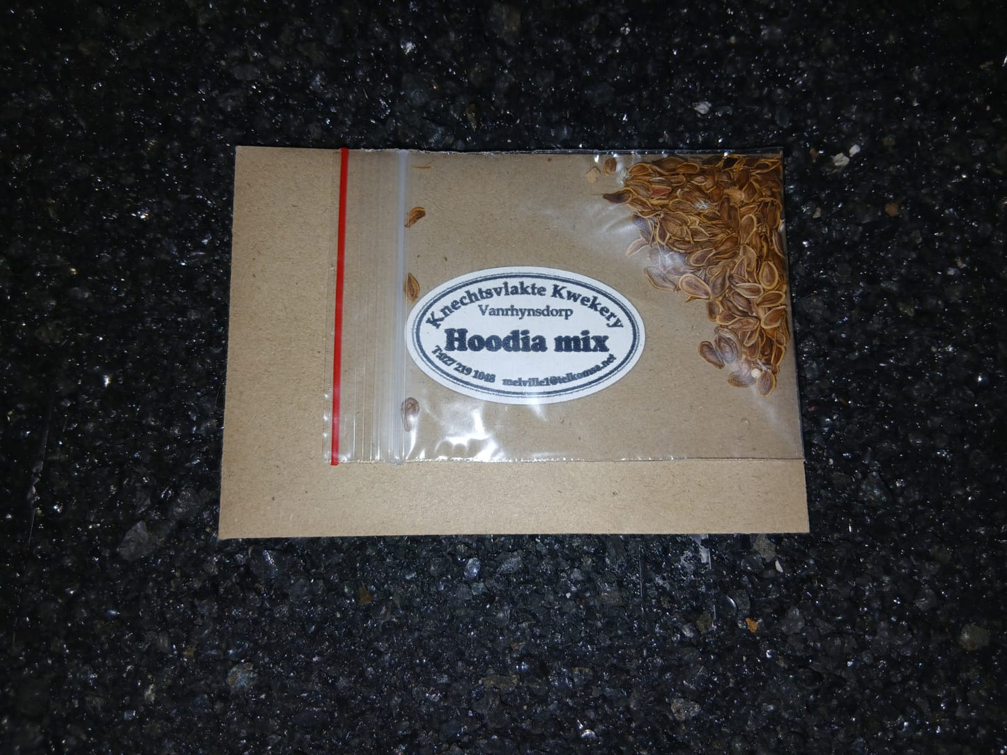 Hoodia mix - SEEDS