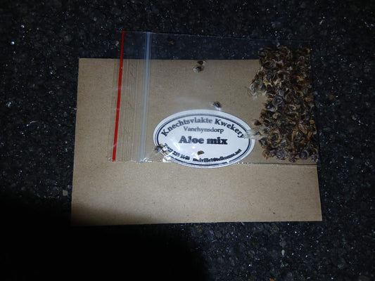 Aloe mix - SEEDS