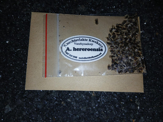 Aloe hereroensis - SEEDS