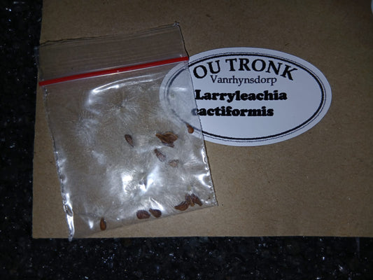 Larryleachia cactiformis - SEEDS